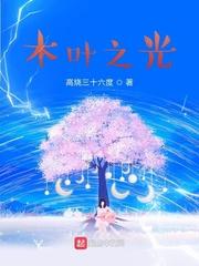 木叶之光游戏