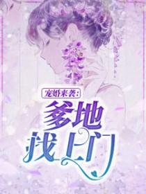 哪本女主叫沐晴天