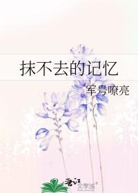 抹不去的回忆的作文怎么写
