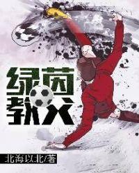 绿茵教父 陈爱庭无错版