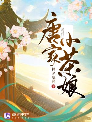 唐家小猫笔趣阁